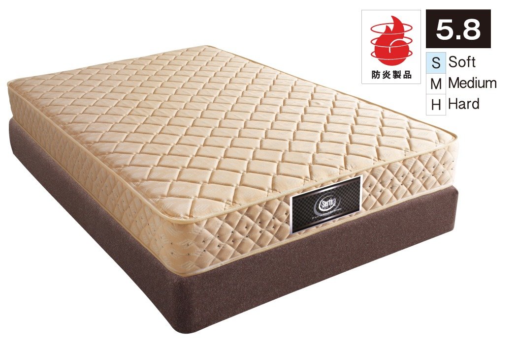 商品画像:FS-6000B