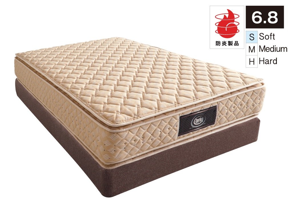 商品画像:FS-6000PB・6.8